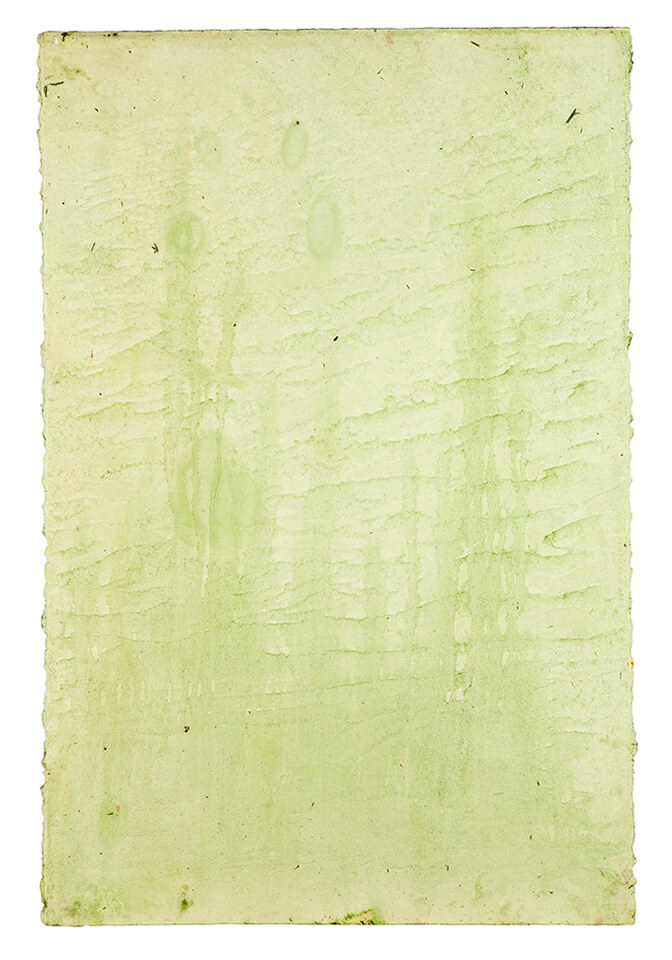 chontaduro papel 01.jpg